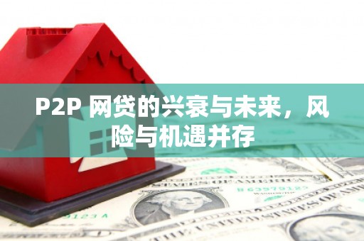 云溪P2P 网贷的兴衰与未来，风险与机遇并存