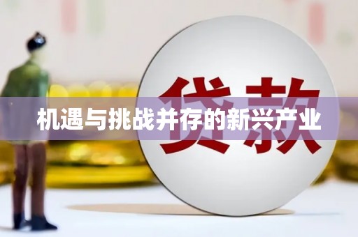 云溪机遇与挑战并存的新兴产业