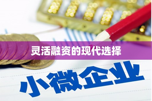 云溪灵活融资的现代选择