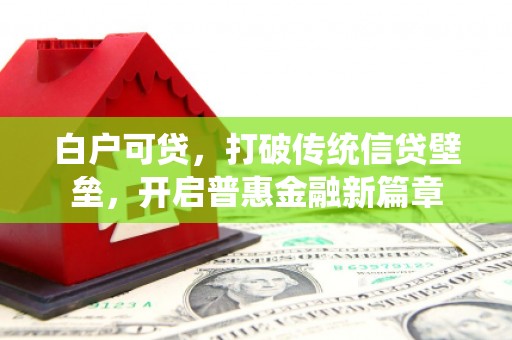 云溪白户可贷，打破传统信贷壁垒，开启普惠金融新篇章