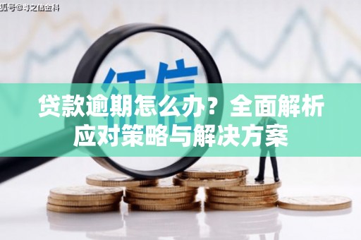 云溪贷款逾期怎么办？全面解析应对策略与解决方案