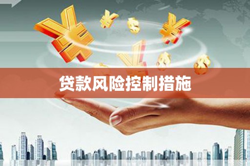 云溪贷款风险控制措施