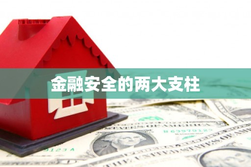 云溪金融安全的两大支柱