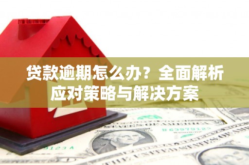 云溪贷款逾期怎么办？全面解析应对策略与解决方案