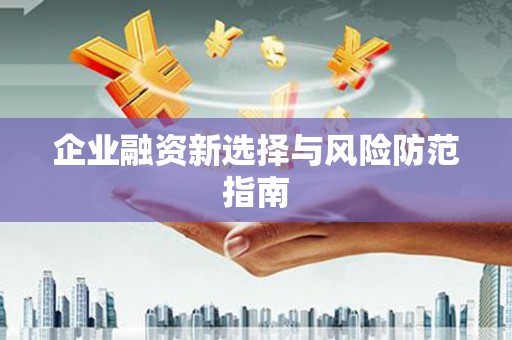 云溪企业融资新选择与风险防范指南