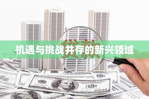 云溪机遇与挑战并存的新兴领域