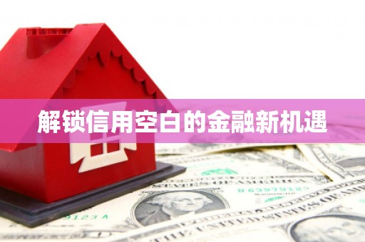 云溪解锁信用空白的金融新机遇