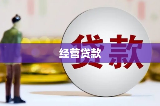 云溪经营贷款
