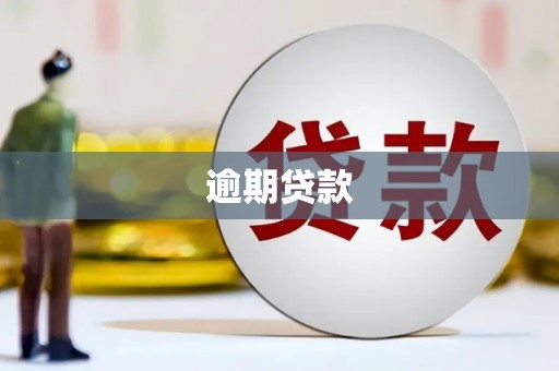 云溪逾期贷款