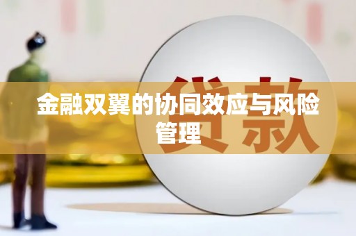 云溪金融双翼的协同效应与风险管理