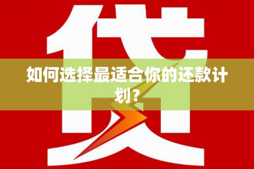 云溪如何选择最适合你的还款计划？