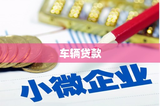 云溪车辆贷款