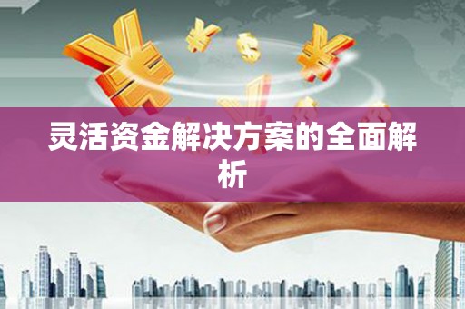 云溪灵活资金解决方案的全面解析