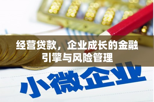云溪经营贷款，企业成长的金融引擎与风险管理