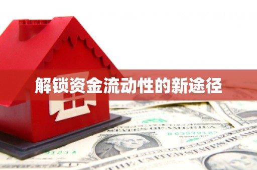 云溪解锁资金流动性的新途径