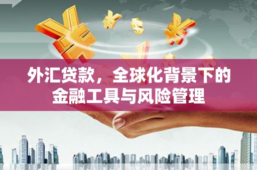 云溪外汇贷款，全球化背景下的金融工具与风险管理