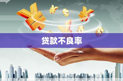 云溪贷款不良率