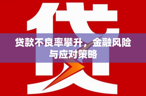 云溪贷款不良率攀升，金融风险与应对策略