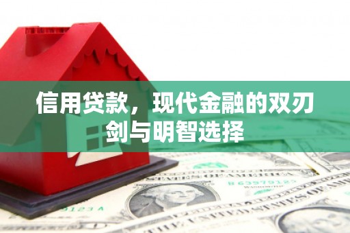 云溪信用贷款，现代金融的双刃剑与明智选择
